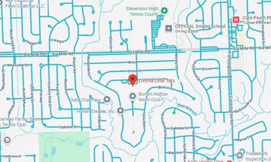 Static map preview: 123 Main St Suite 100, Livonia, USA